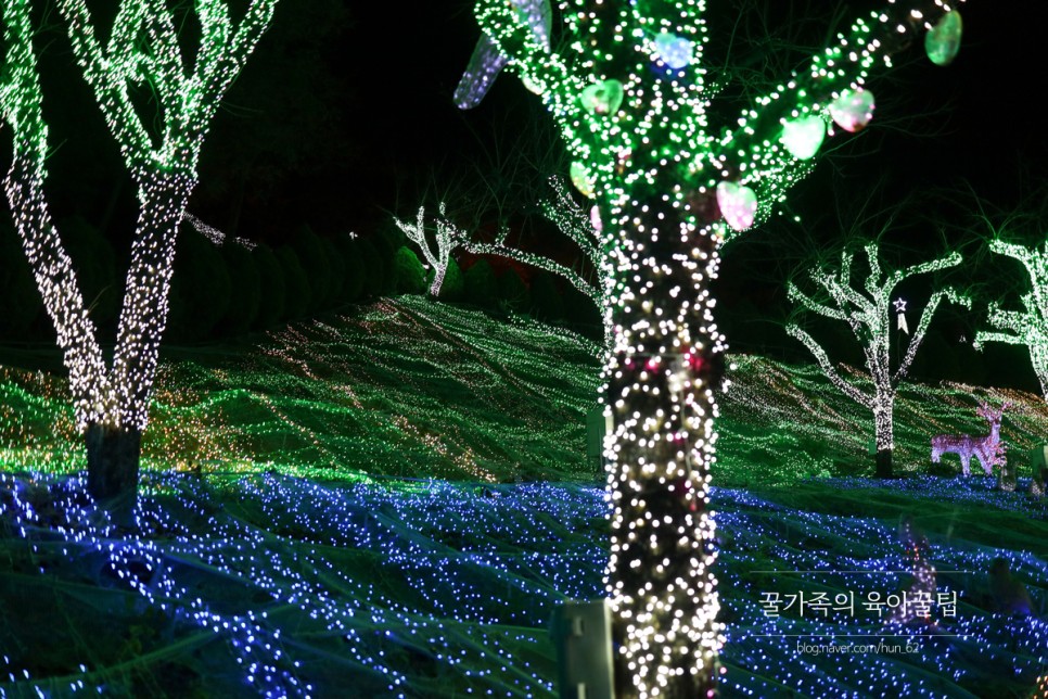 경북 축제 경북 아이와가볼만한곳 청도 55