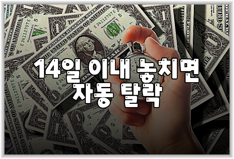 14일 이내 놓치면 자동 탈락