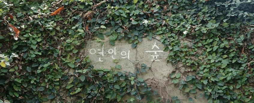 제주 허브동산 위치, 역사, 볼거리, 체험, 맛집, 주변 관광지 여행 가이드 ⓒ제주관광공사