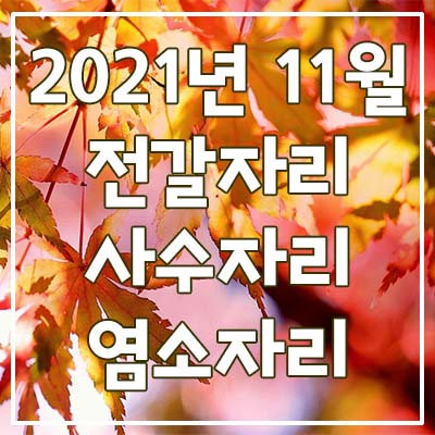  (전갈자리, 사수자리, 염소자리) 2021년 11월 은하별의 별자리 운세