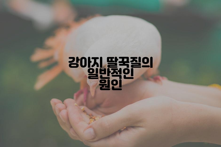 강아지 딸꾹질의 일반적인 원인