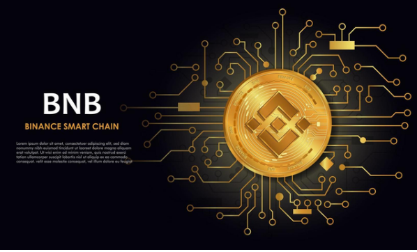  BSC 체인 가스비 20% 인하!?