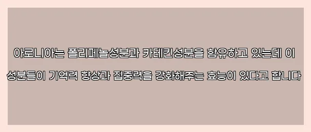  아로니아는 폴리페놀성분과 카테킨성분을 함유하고 있는데 이 성분들이 기억력 향상과 집중력을 강화해주는 효능이 있다고 합니다