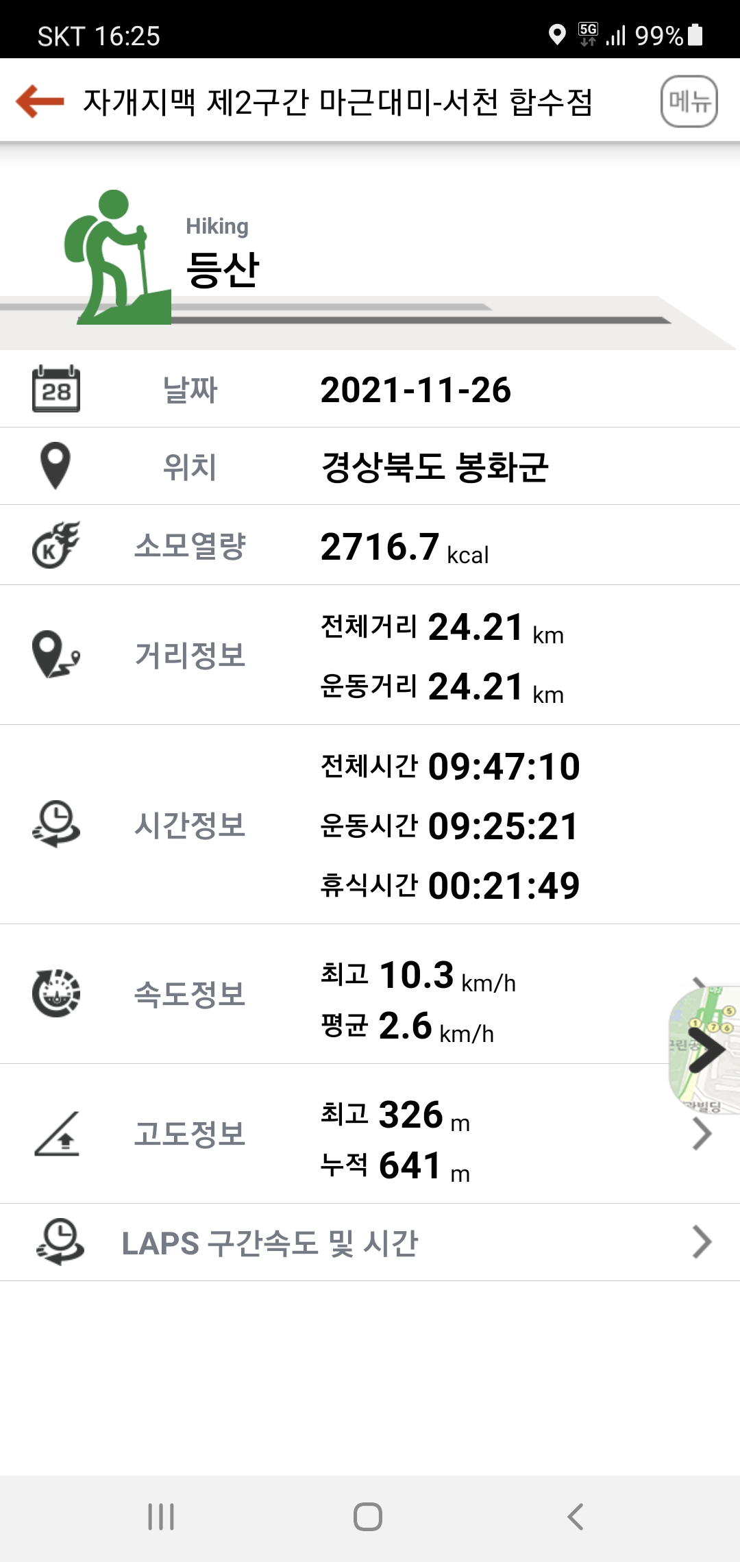 자개미 이미지