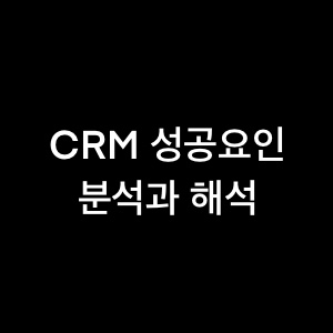 CRM 성공요인 : 분석에 대해서