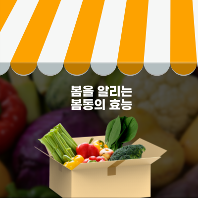  [FOOD] 가장 먼저 봄을 알리는 봄동, 효능과 레시피 알려드려요!