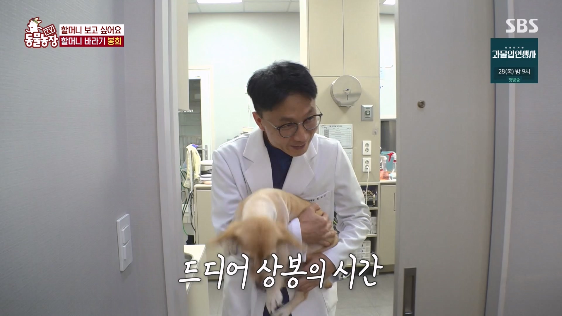 TV 동물농장.E1151.231224p-NEXT.mp4_20231224_154147.413.jpg