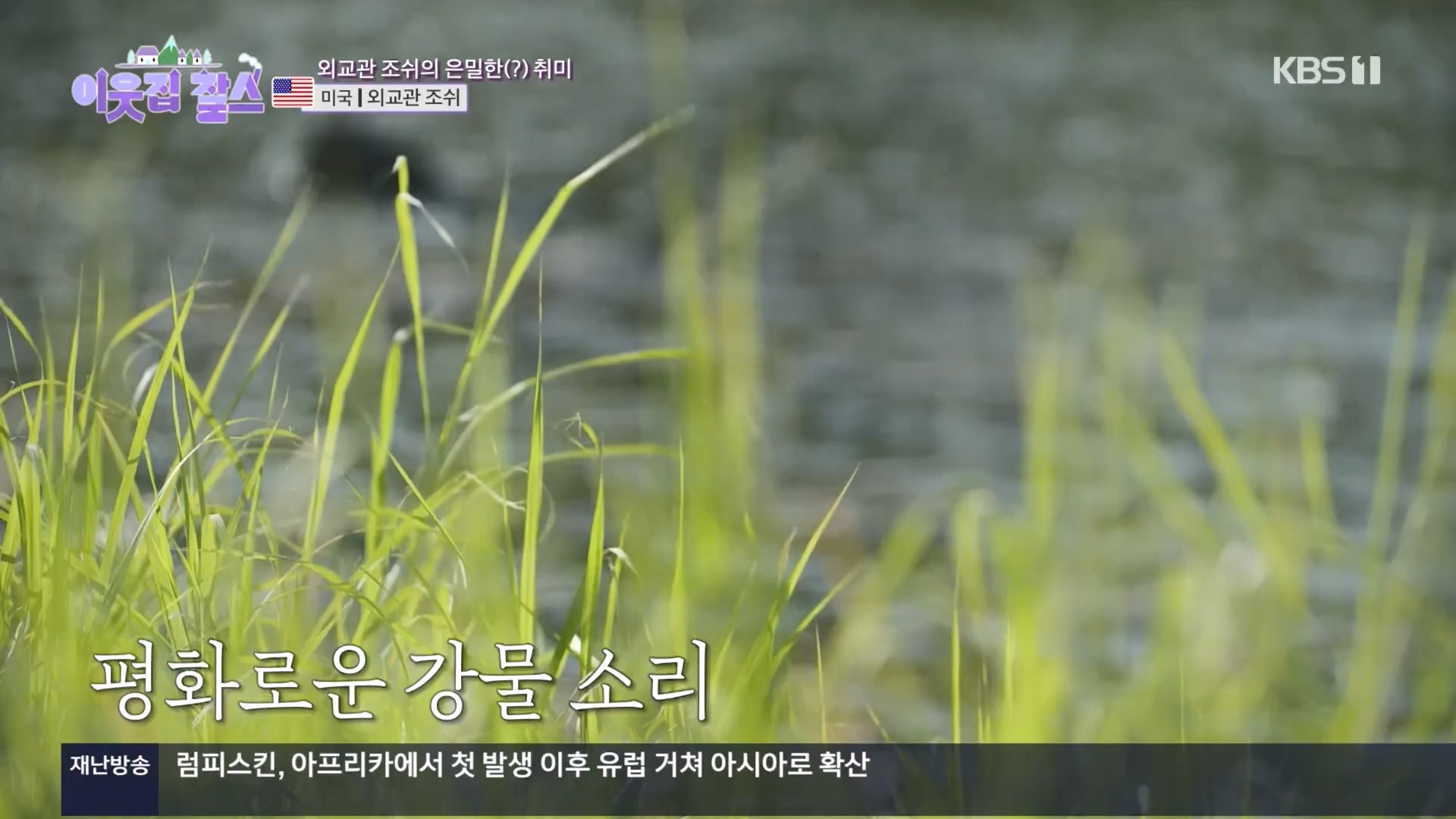 이웃집 찰스.E411.231114p.H264-F1RST.mp4_20231115_200751.547.jpg