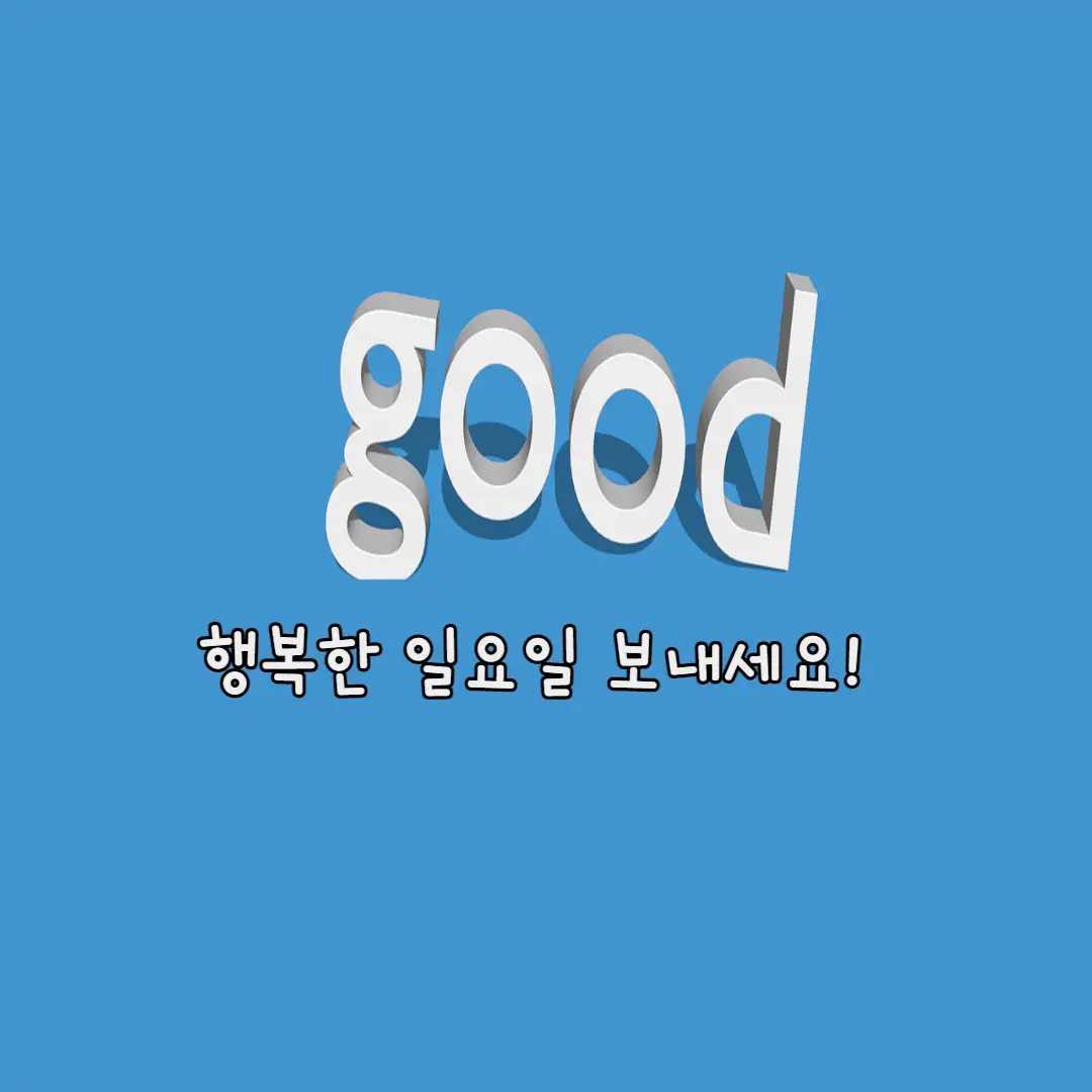 일요일 사진