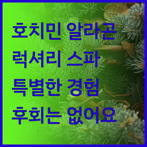 호치민 알라곤 호텔 & 스파, 놓치면