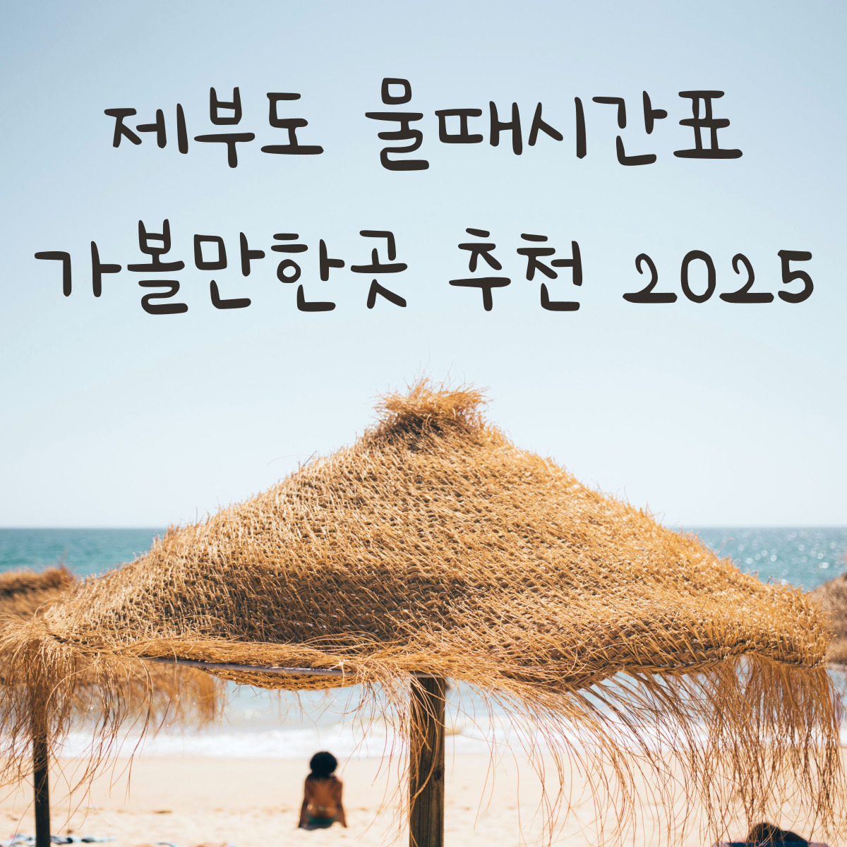 제부도 물때시간표