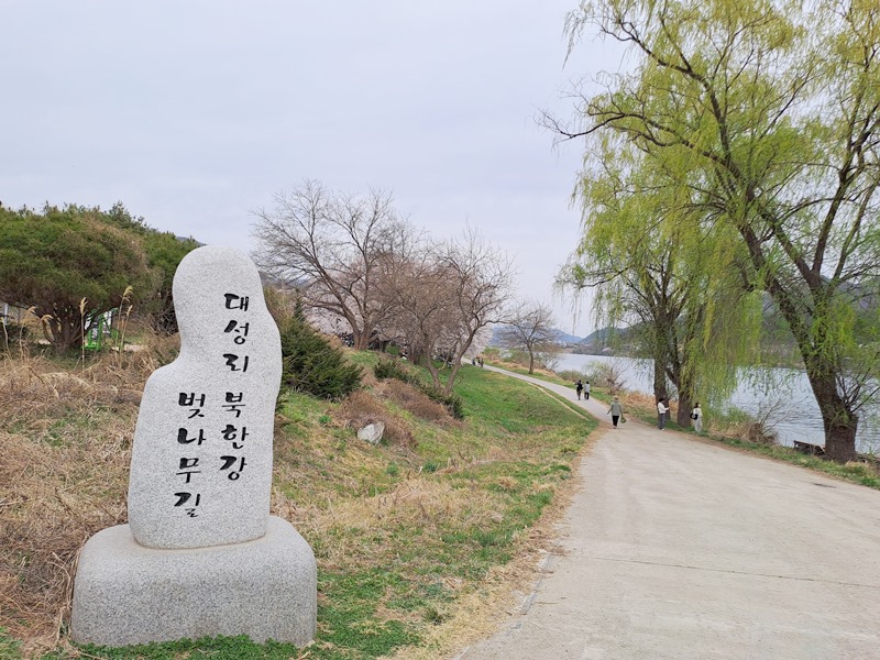 벚꽃-숲길따라-출발지점으로