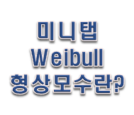  미니탭 예제 Weibull분포란? 형상모수에 대해 알아보자!!