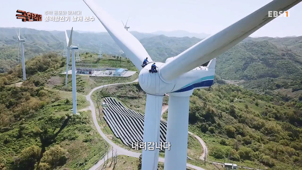 TV - 전 국민의 평생학교 EBS추락 공포와 맞서다! 고공 작업자.mp4_20240604_204116.419.jpg