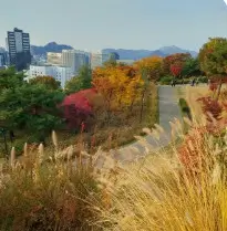 남산 서울타워