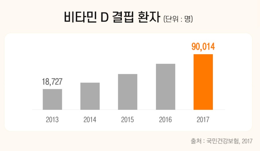  비타민 D|E 효능 및 구매 팁 알아보기