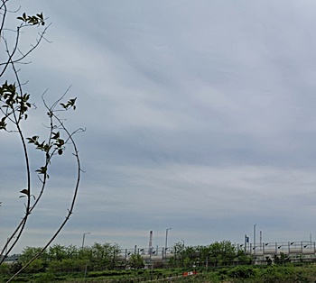 해외-부동산-투자-명세서-신고-6월