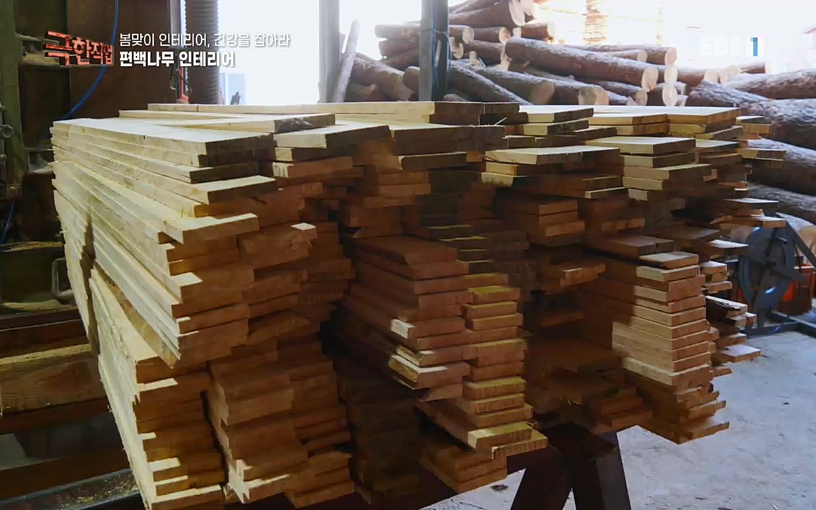 TV - 교육의 중심 EBS봄맞이 인테리어, 천연 소재로 건강을 잡아라.mp4_20220514_192323.291.jpg