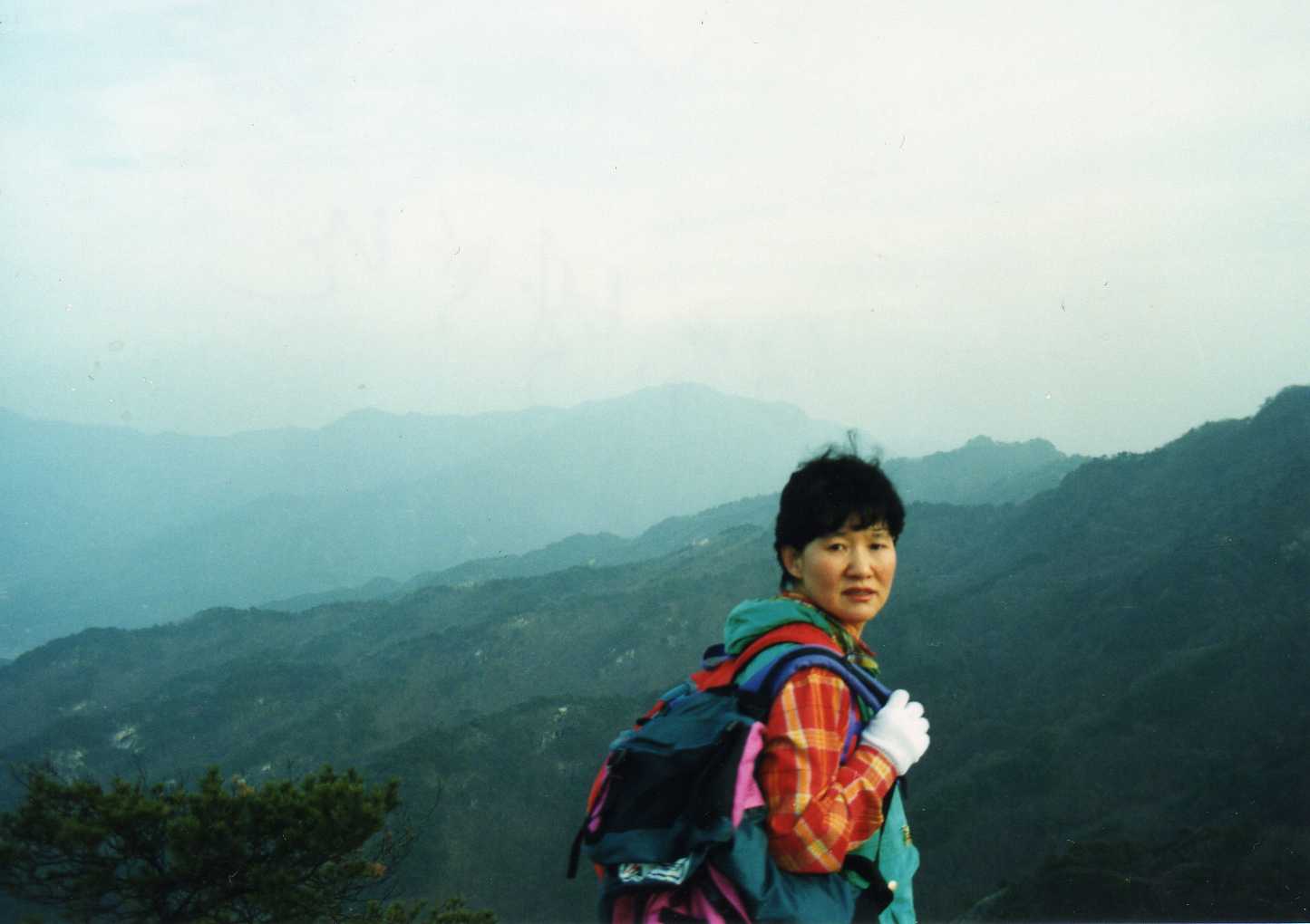 백악산흥부네 이미지