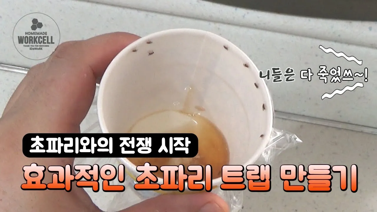 초파리 없애는 방법 효과 만점 초파리 트랩 만들기_3