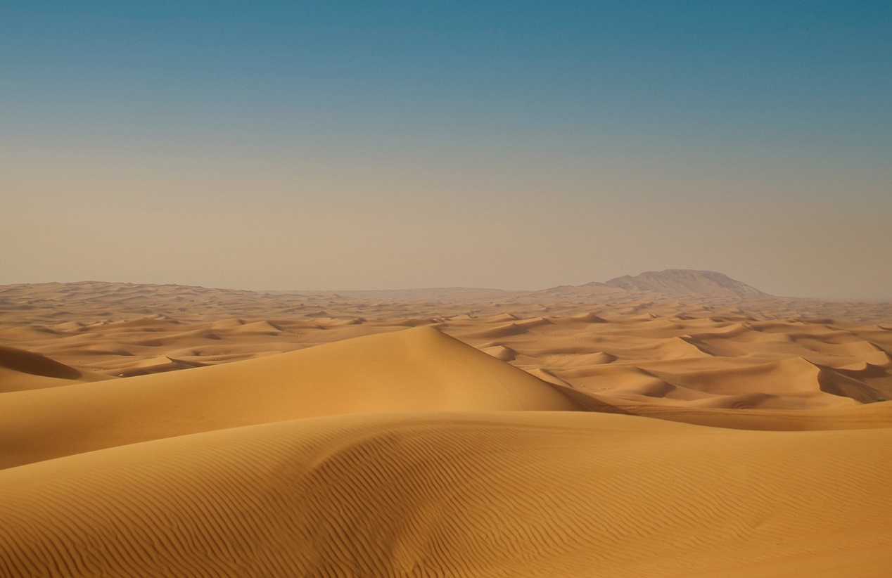 사막-모래-오후-자연