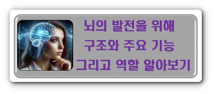 뇌의 발전을 위해 구조와 주요 기능 그리고 역할을 알아보기