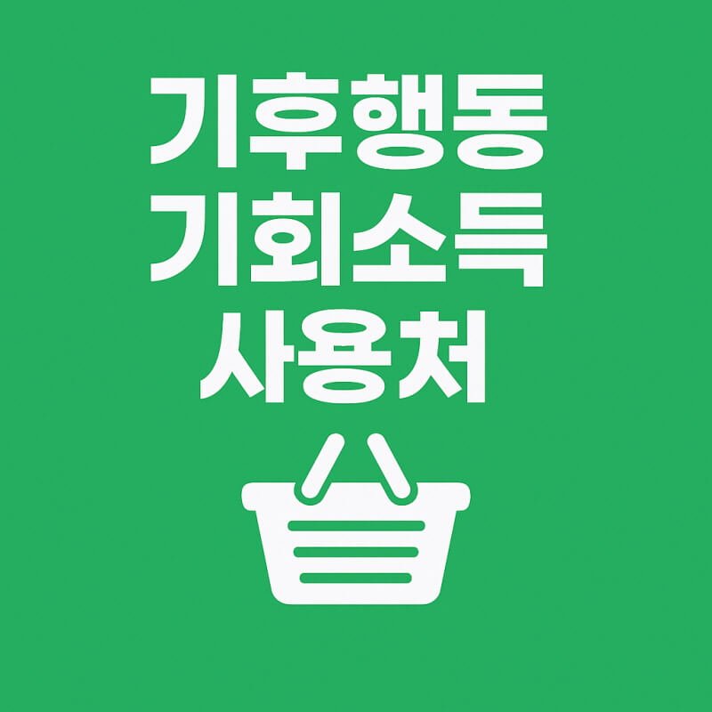 기후행동기회소득 사용처 관련사진