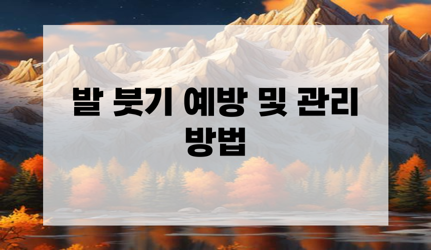 발 붓기 예방 및 관리 방법