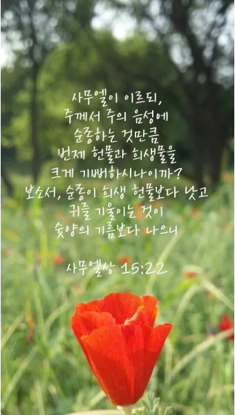 사무엘상 15장 22절 순정 제사의 잠언_3