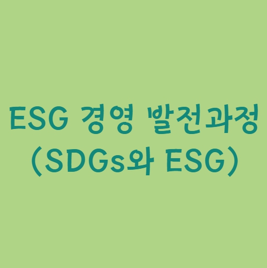 ESG-경영-발전과정-SDGs