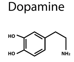  도파민(Dopamine)과 운동의 상관관계!! 건강과 삶의 활력을 위한 열쇠