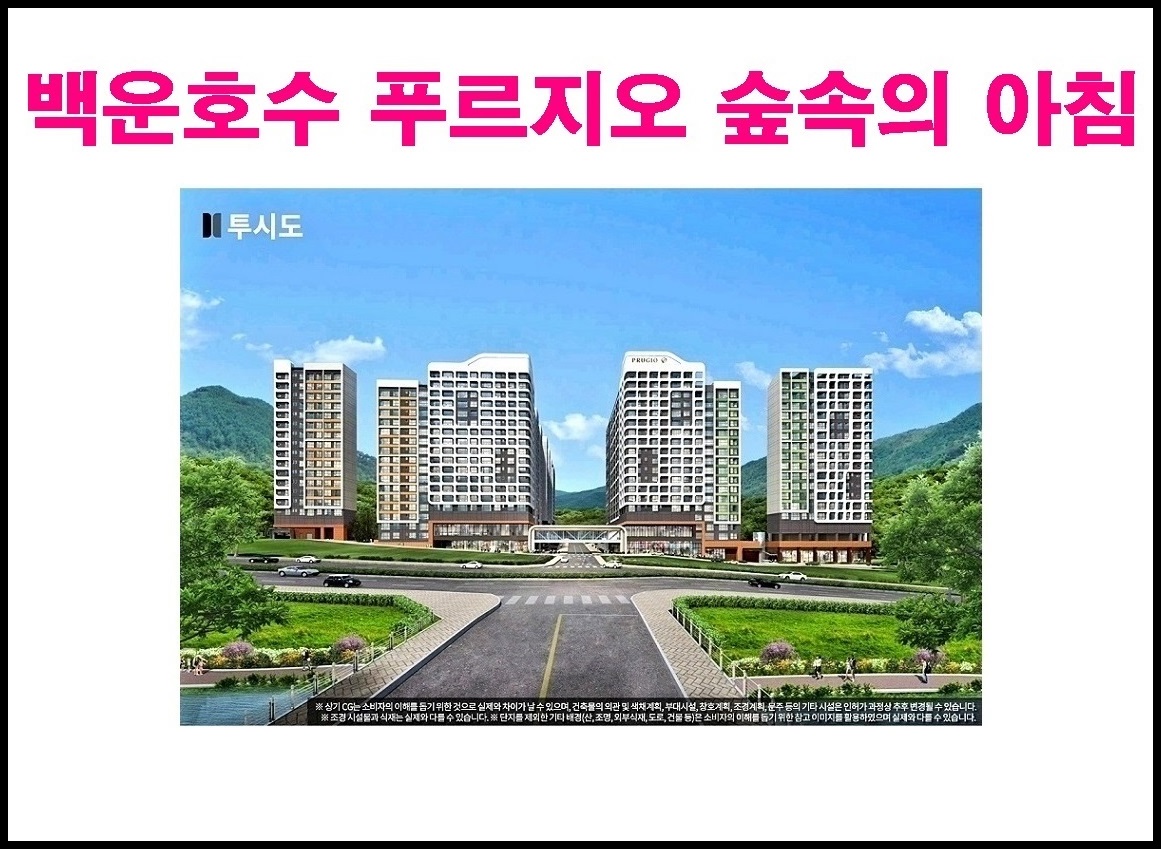 숲속의아침 이미지