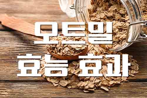  오트밀, 다이어트에 좋은 오트밀 효능과 부작용