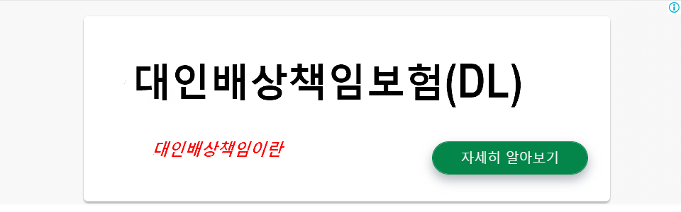 대인배상책임보험(DL)