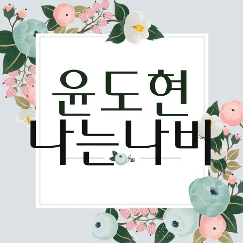 윤도현 나는나비