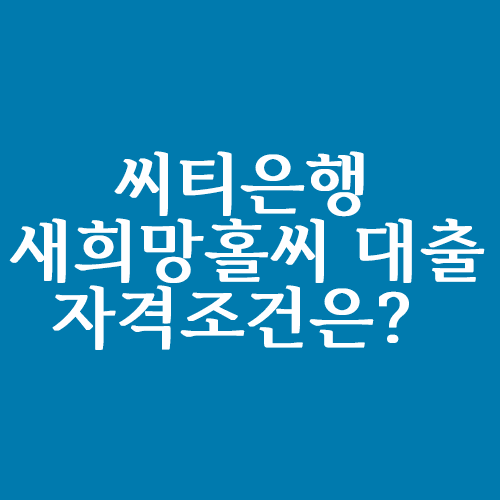  씨티은행 새희망홀씨 대출 자격조건은?