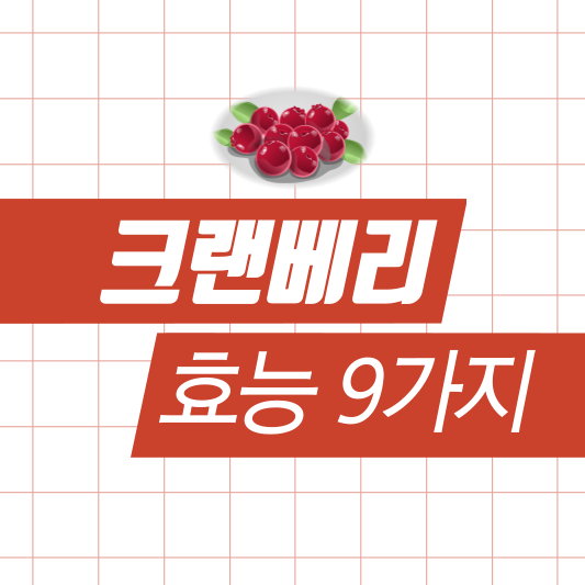  크랜베리 효능 9가지, 암 예방, 방광염 예방, 신장 기능 개선 등...