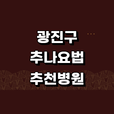 서울 광진구 추나