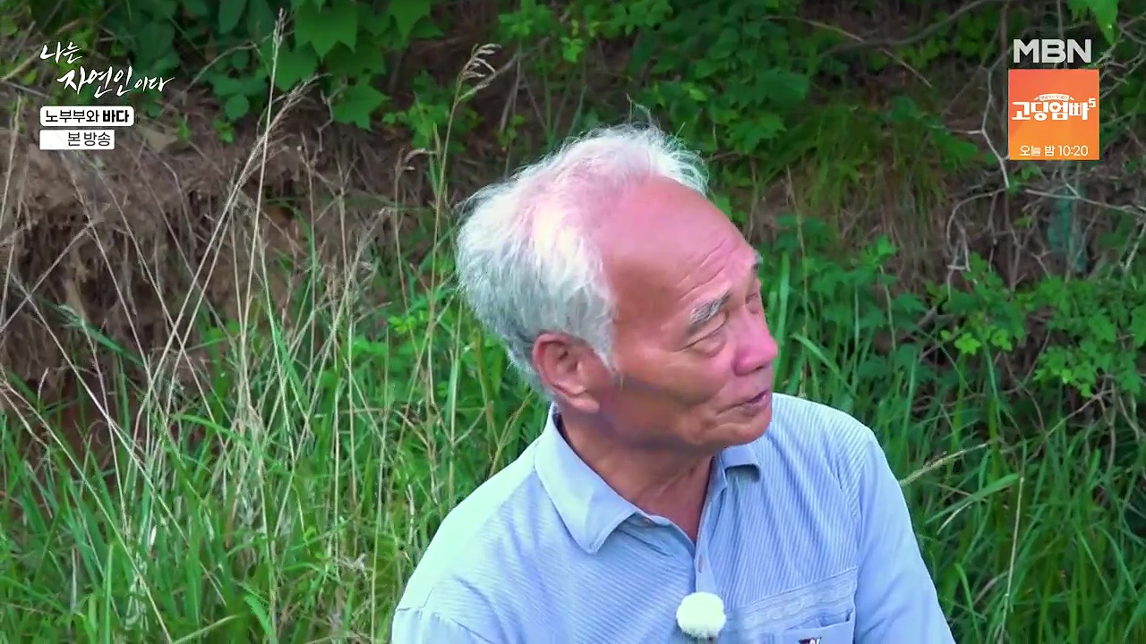 나는 자연인이다.E610.240620p-NEXT.mp4_20240620_193709.299.jpg