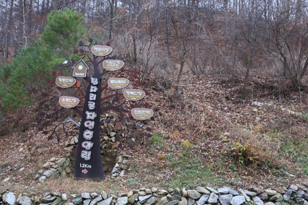 춘천 집다리골 자연휴양림