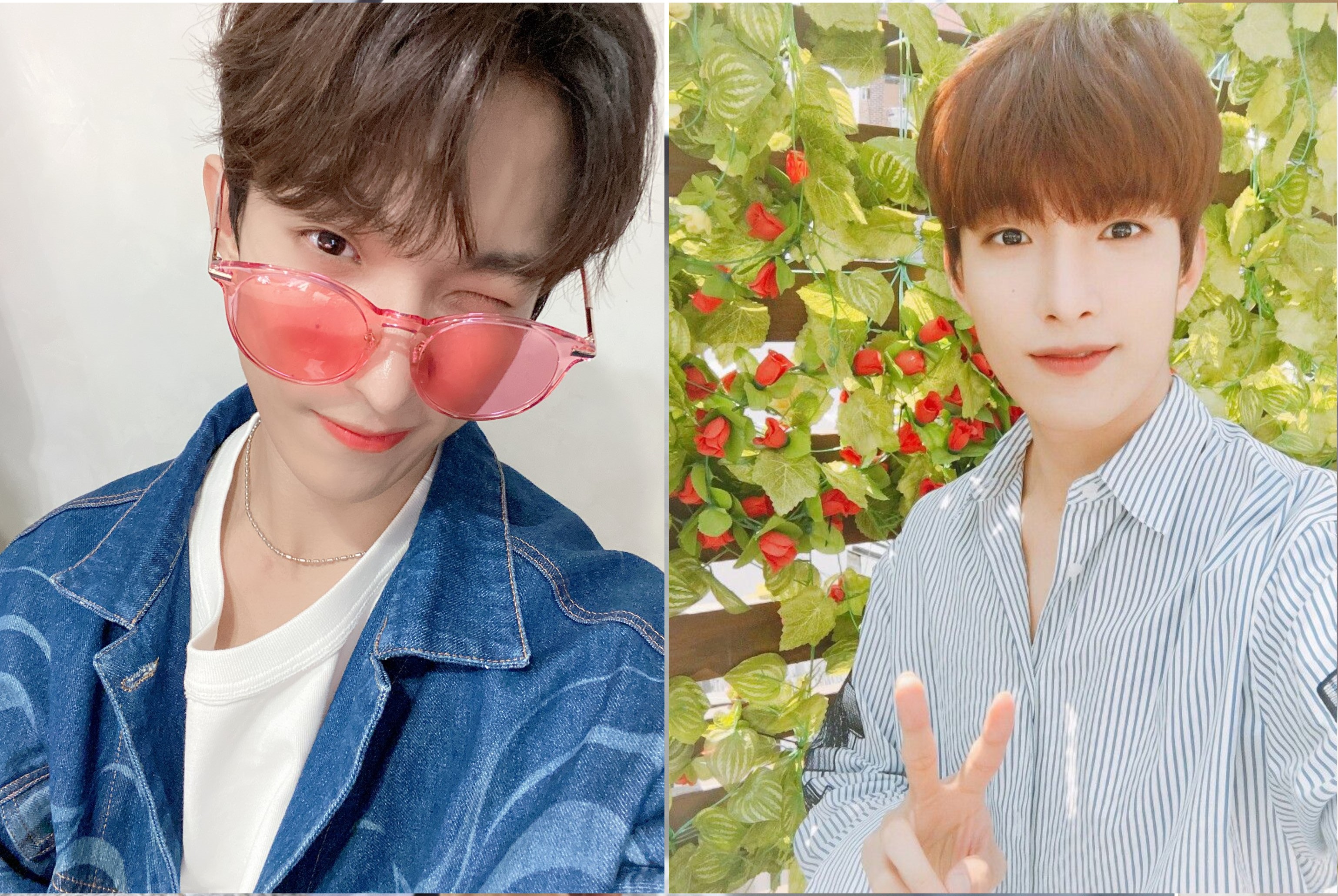  세븐틴 도겸 사주없이 보는 관상 (화살코관상, 볼점관상, 진지한 장난꾸러기)