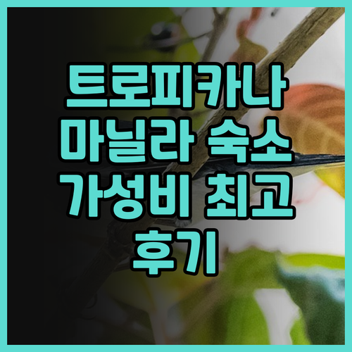 트로피카나 스위트 후기 마닐라 말라테