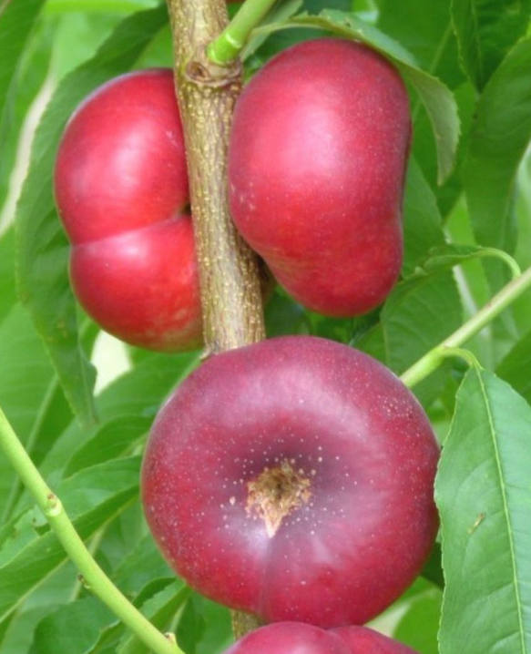 img.jpg