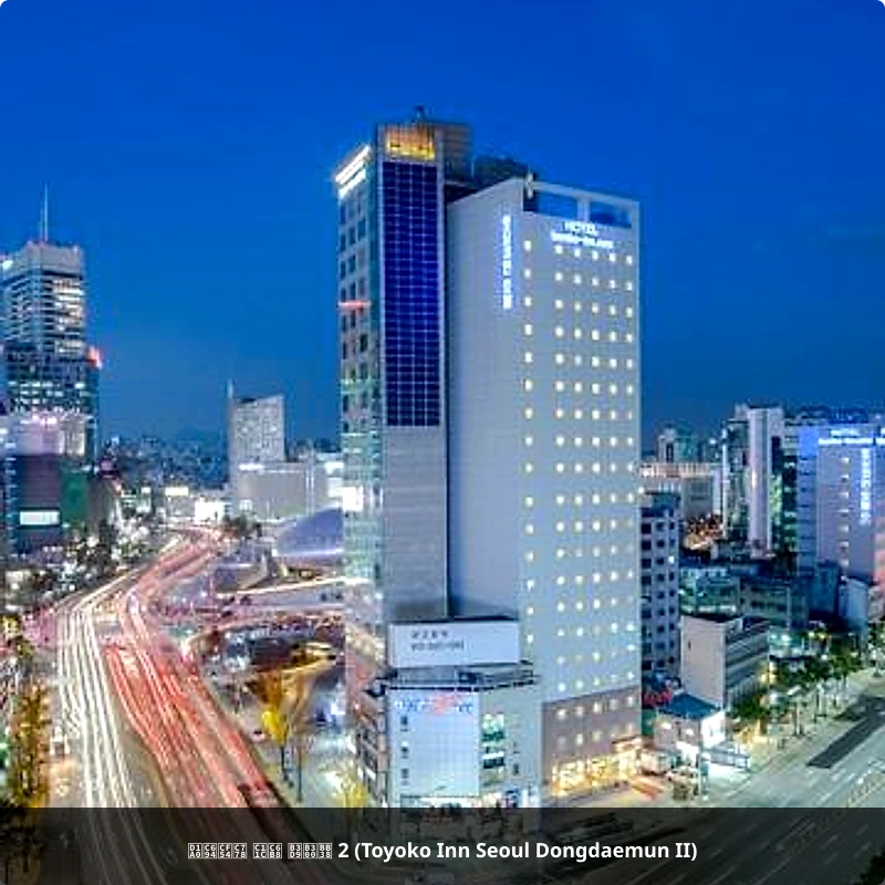 토요코인 서울 동대문 2 (Toyoko Inn Seoul Dongdaemun II)_1