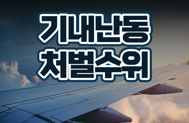 항공기 문 개방사건 관련 비행기 기내 난동에 대한 처벌규정