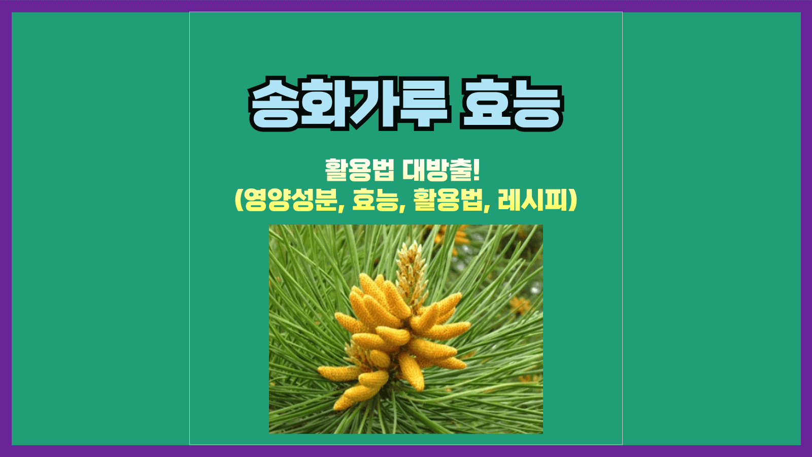 송화가루 활용법 대방출! (영양성분&#44; 효능&#44; 활용법&#44; 레시피)