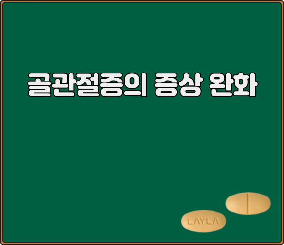 레일라정_효능