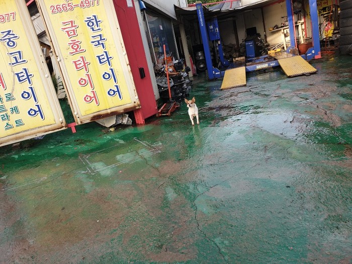 개화산장 이미지