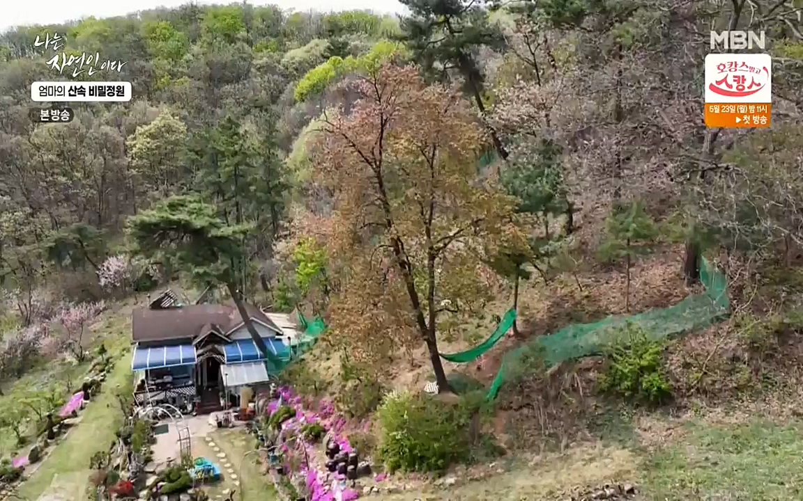 나는 자연인이다.E501.220512p-NEXT.mp4_20220512_185622.756.jpg
