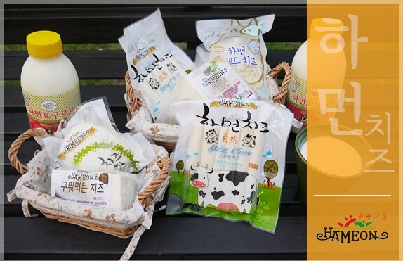 6시내고향 전북 남원 치즈와 요구르트 하먼치즈 방문 및 구매정보 